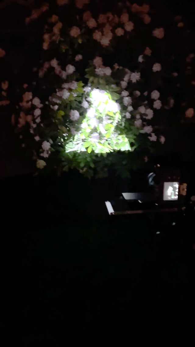 Projecting Miley onto flowers