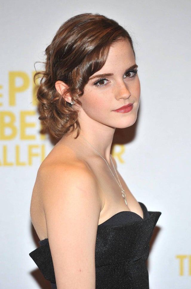 The Perks of Being a Wallflower screening,2012